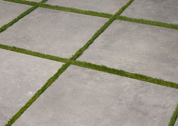 PDL_foto_grigio_erba-1