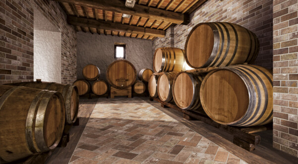 rondine bristol ambiente 5